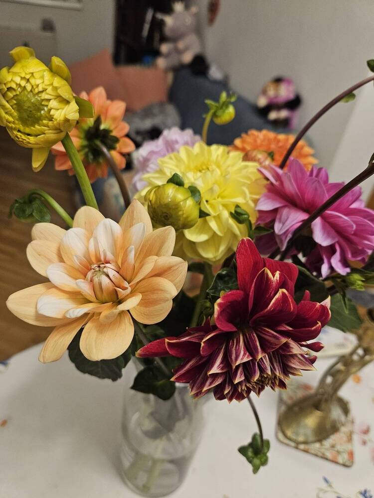 Фотография автора Inna Osminina