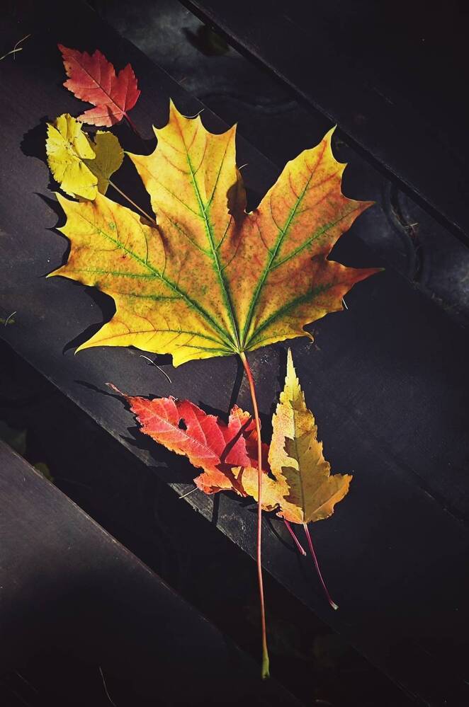 Фотография автора Наталья Силантьева