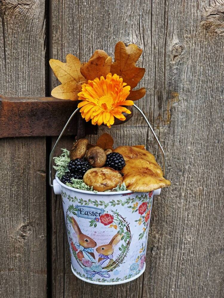 Photograph by Куделенко Оксана