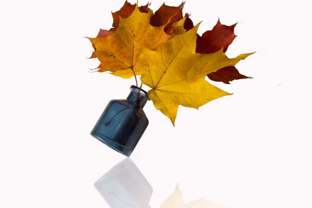 Photograph by Ирина Савостикова