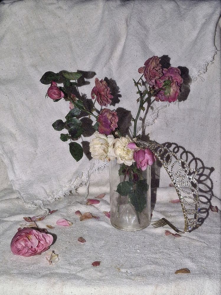Photograph by Наталья Захарова