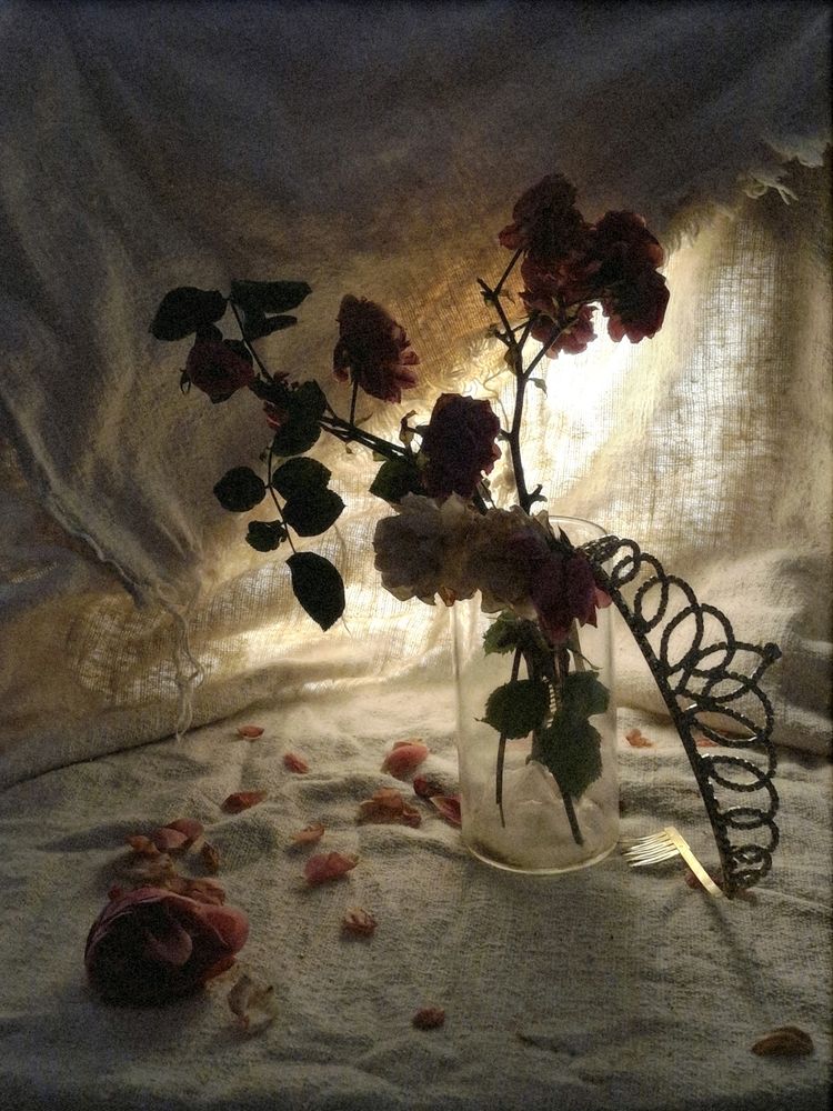 Photograph by Наталья Захарова