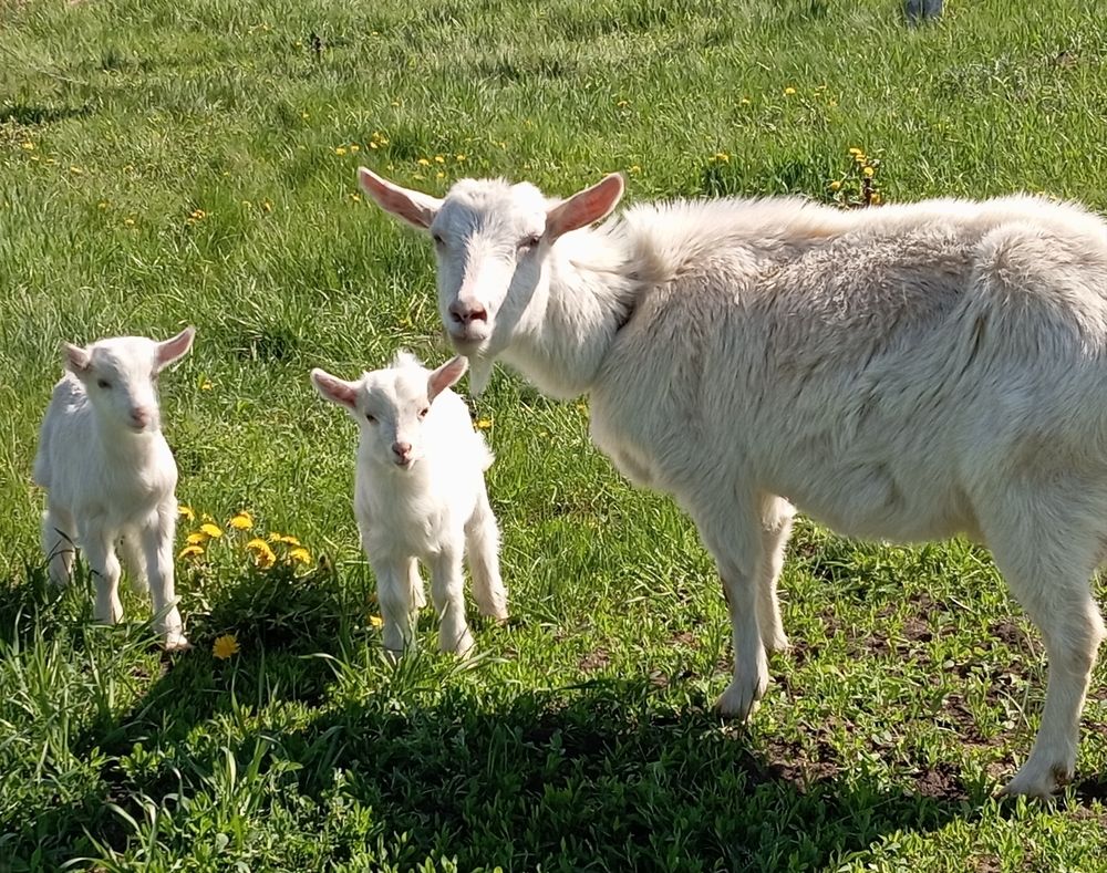 Photograph by Елена Коробченко