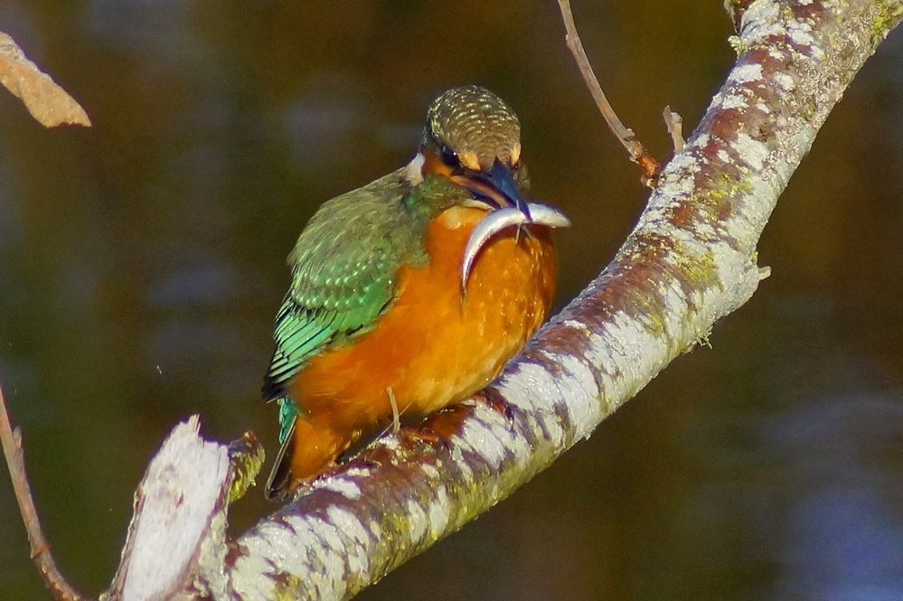 Photograph by Jevgeni Filimonov