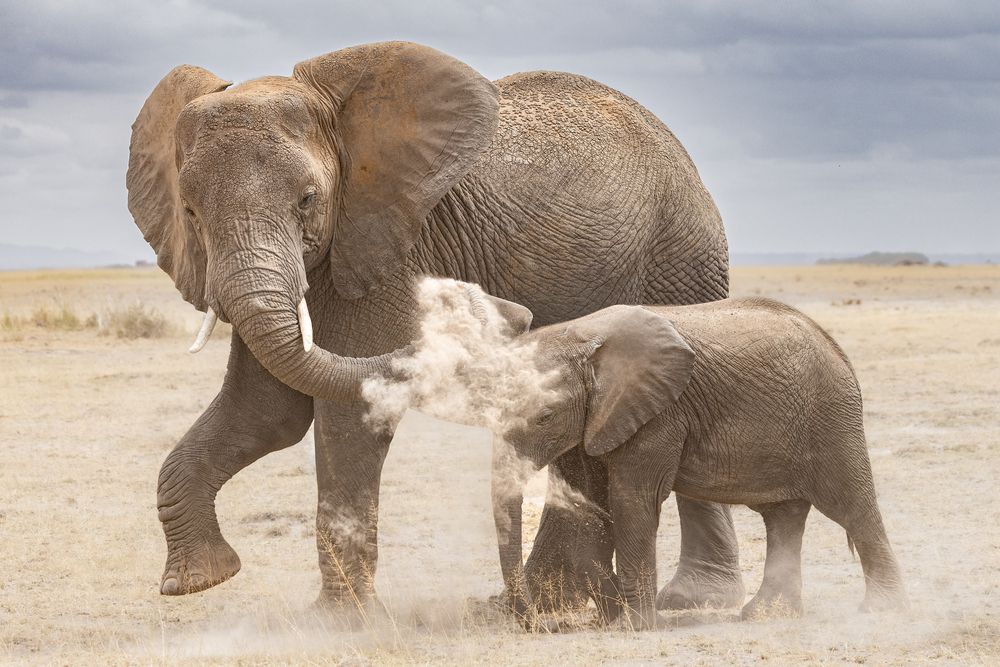 Photograph by Ali Khataw