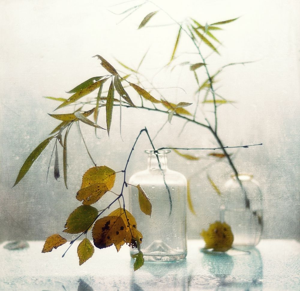 Photograph by Наталия К