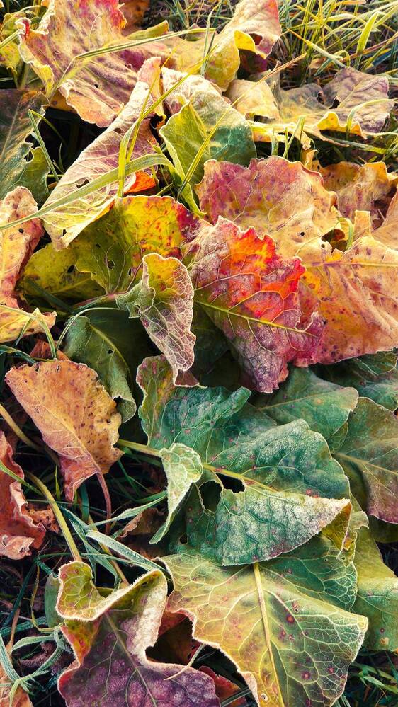 Photograph by Бобкин Алексей