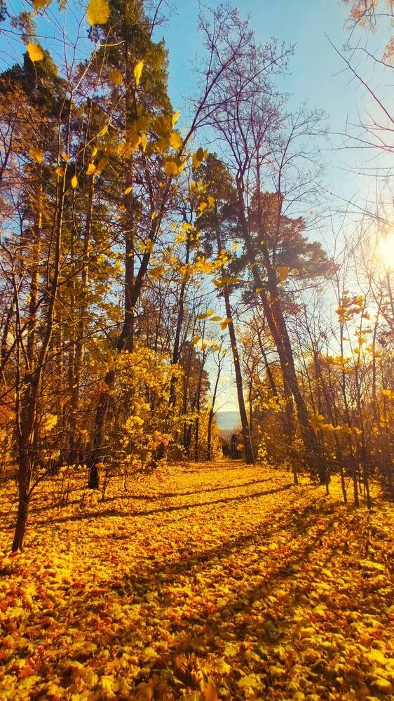 Photograph by Бобкин Алексей