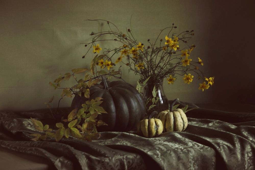 Фотография автора Ольга