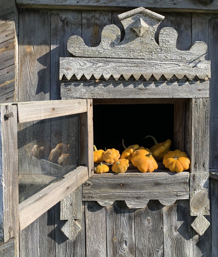 Фотография автора Ирина Шпаковская