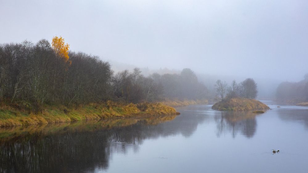 Photograph by Максим Григорьев