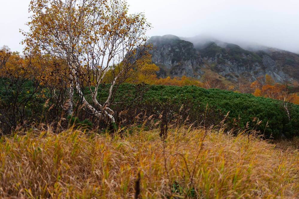 Photograph by Данис Вафин