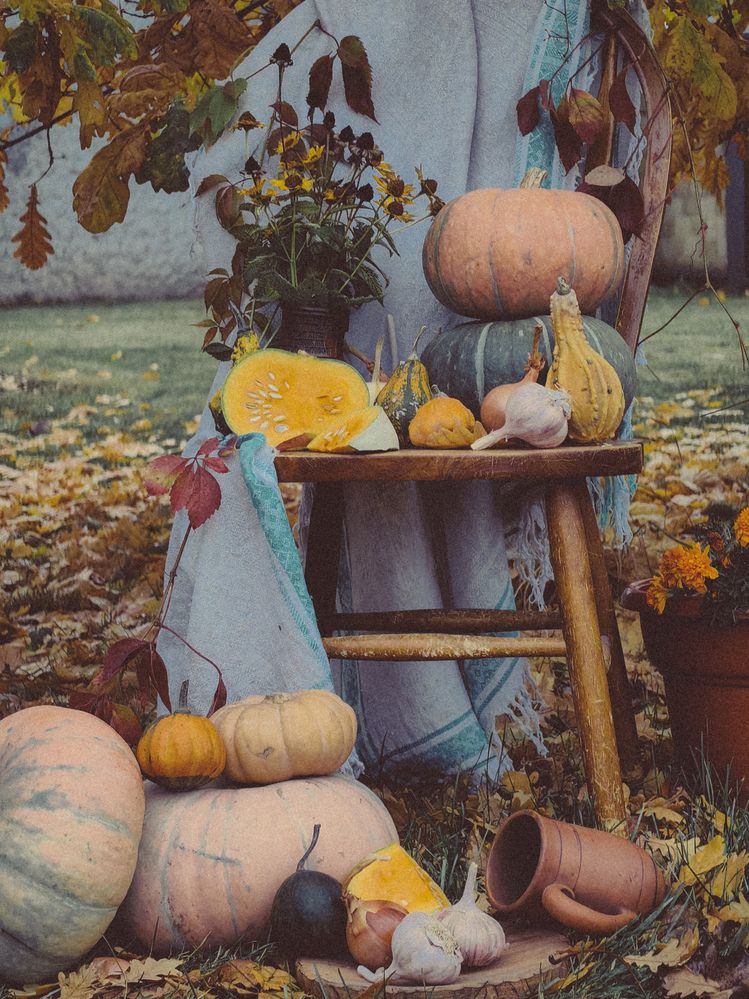 Photograph by Татьяна Котова