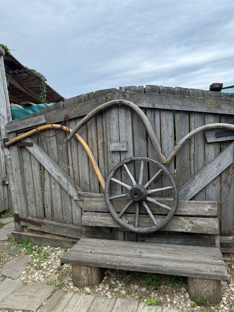 Фотография автора Виктория Ляпина