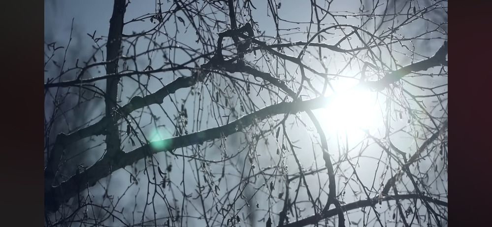 Photograph by Марина Федотова