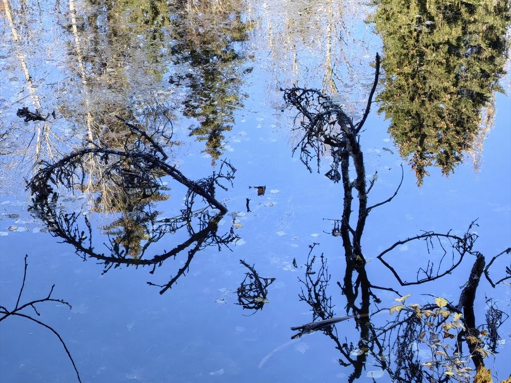 Photograph by Olga Kot