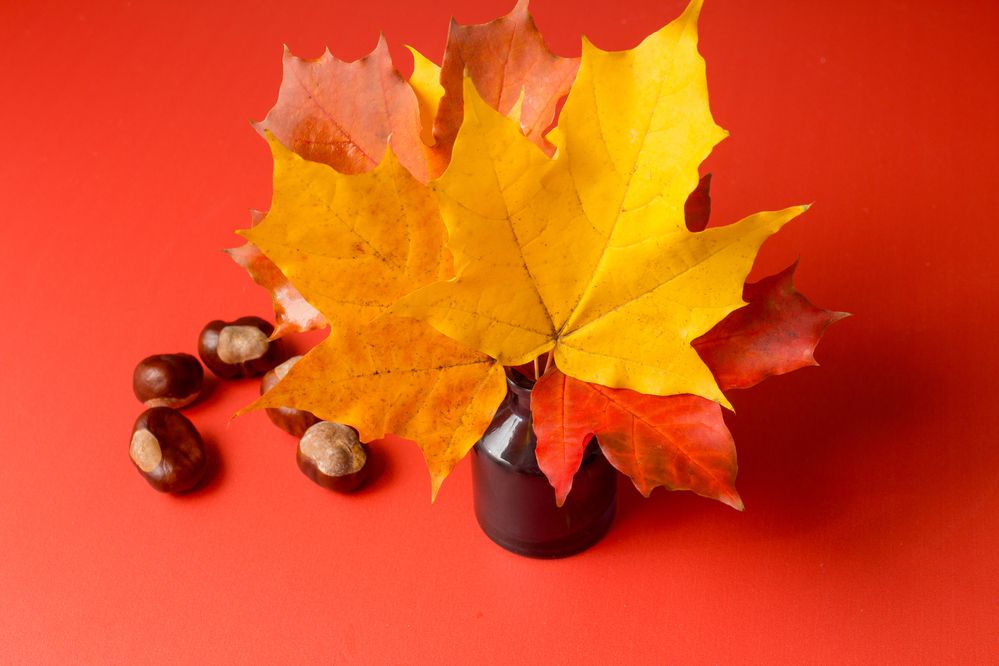 Photograph by Ирина Савостикова