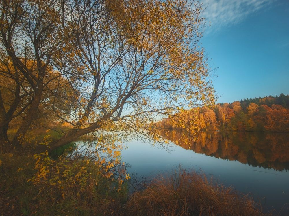 Photograph by Кирилл Сидоров