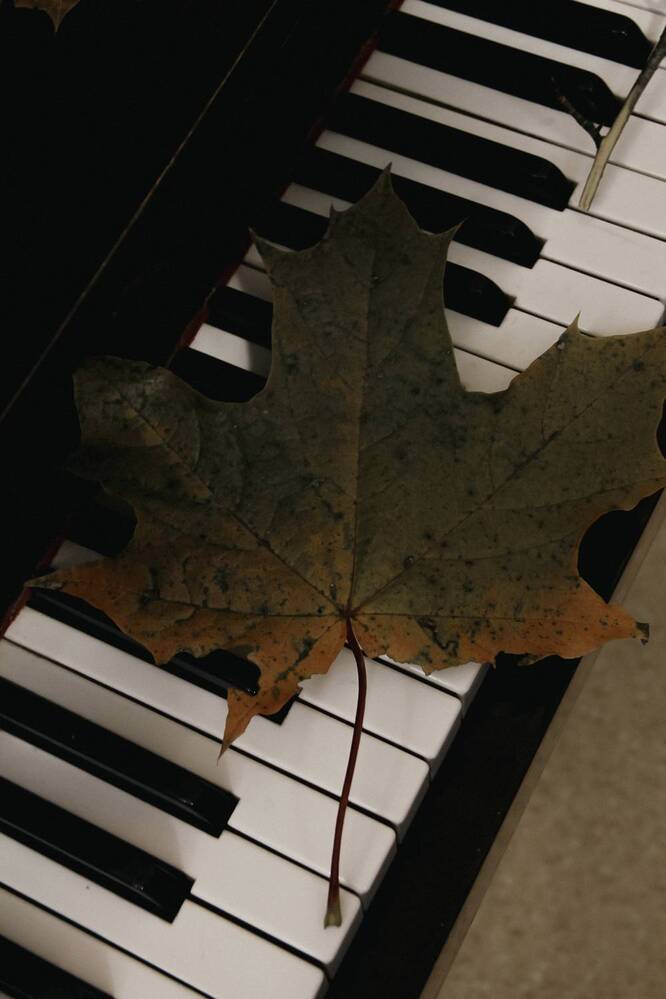 Photograph by Анастасия Псарёва