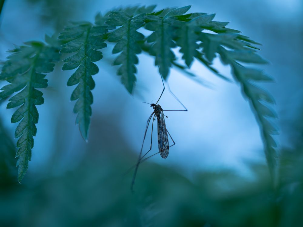 Photograph by Ирина Протченко