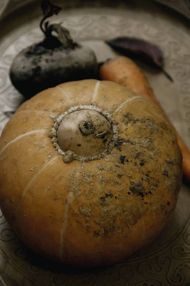 Photograph by Анастасия Псарёва