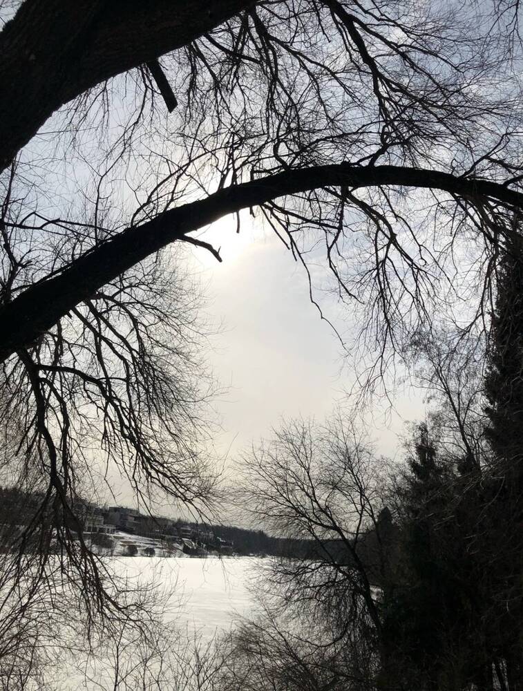 Photograph by Светлана