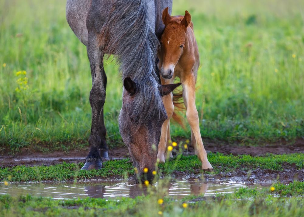 Photograph by Никитин Алексей