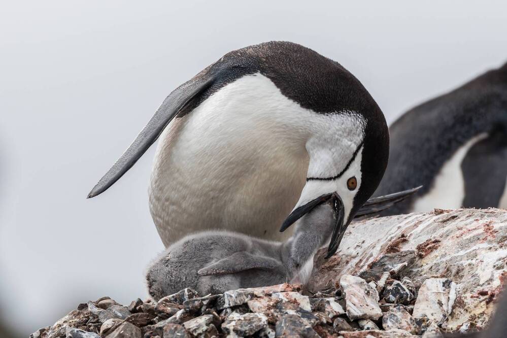 Photograph by Марина Маликова