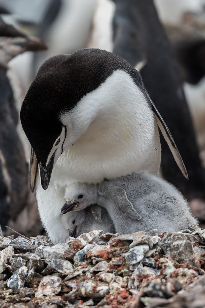 Photograph by Марина Маликова