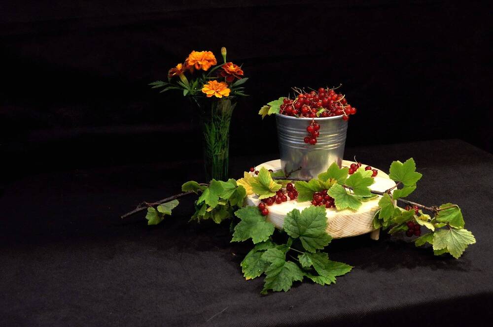 Фотография автора Ирина Кухарчук