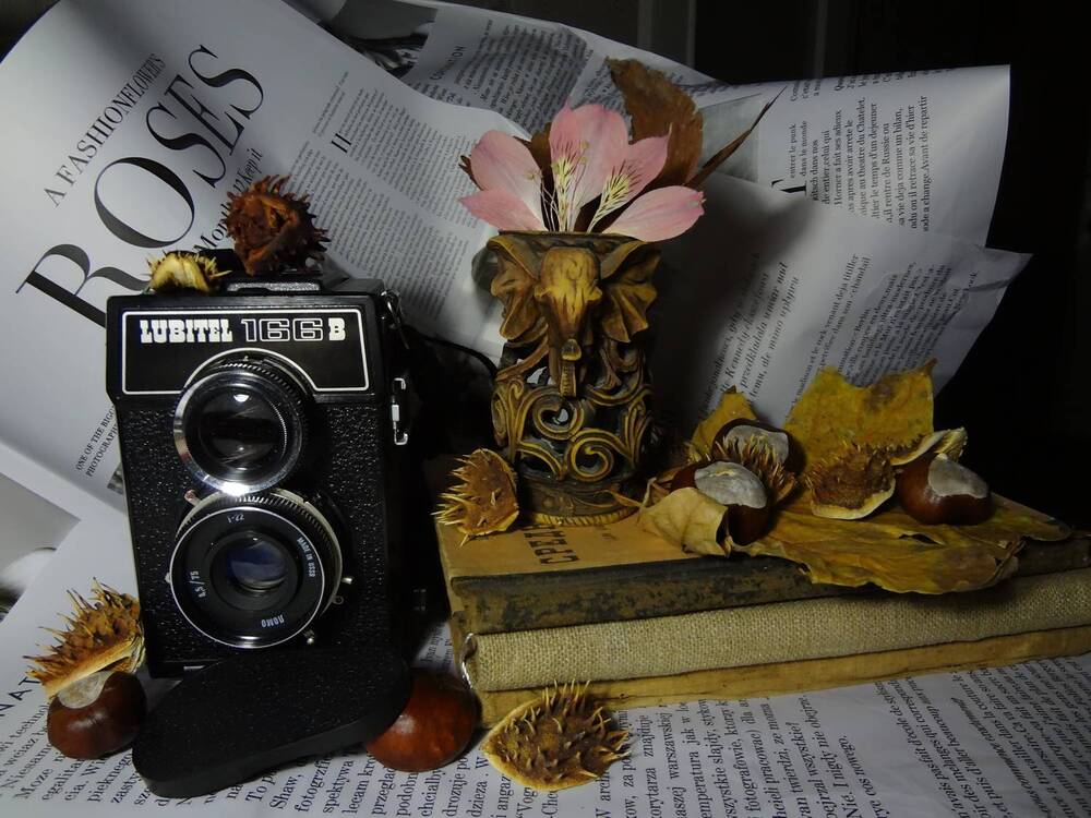 Photograph by Юлия Шадрина