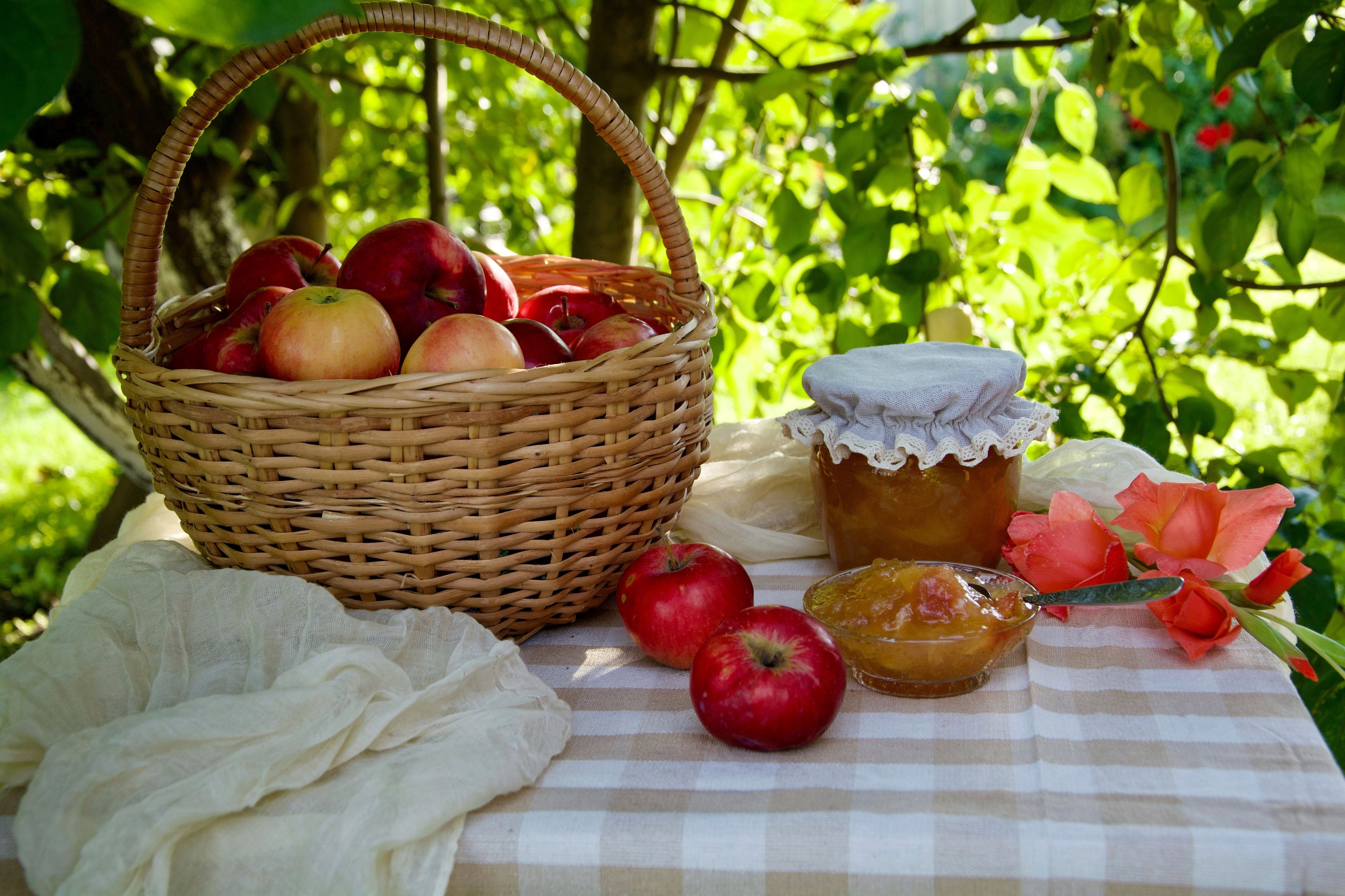 Photograph by OLGA LIZ