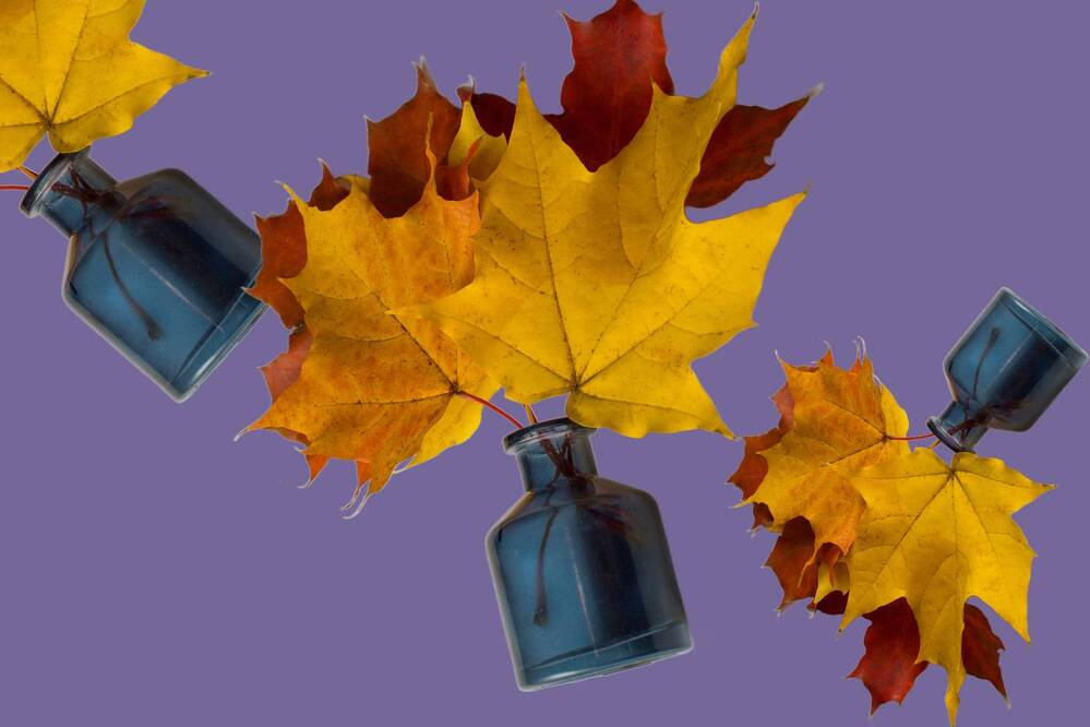 Photograph by Ирина Савостикова