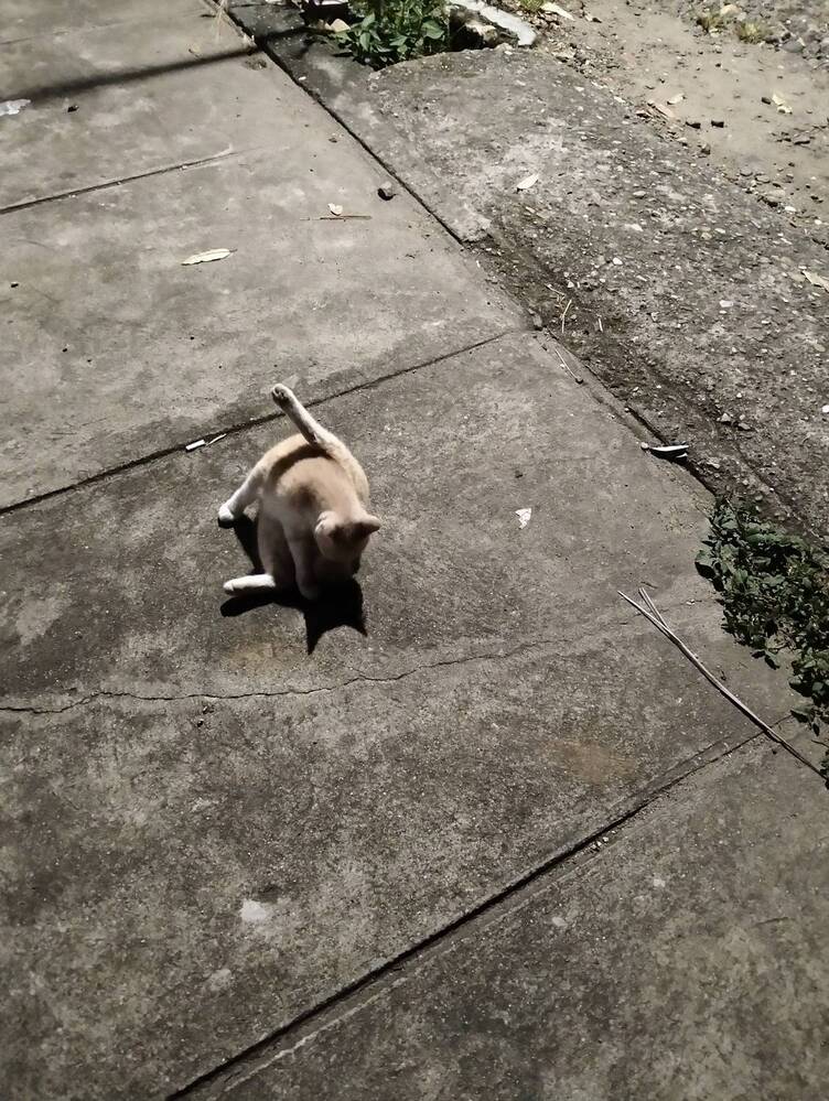 Photograph by Adal -