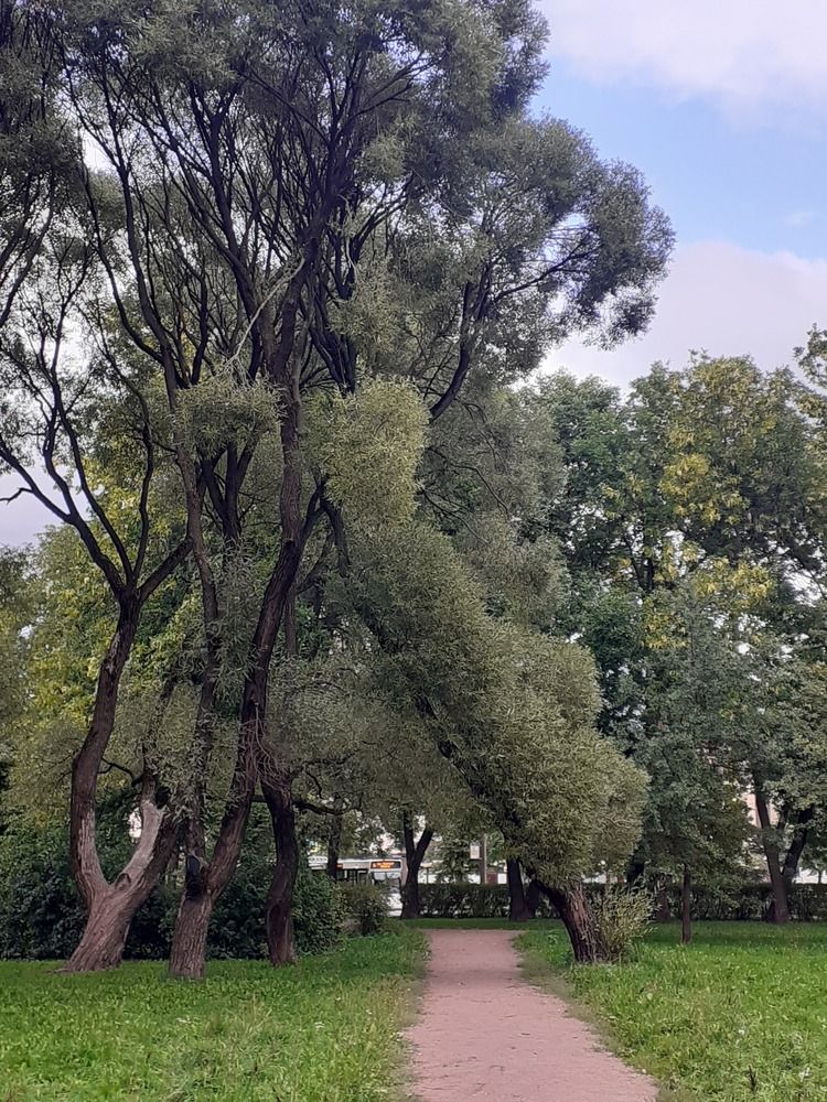 Photograph by Надежда Спорынева