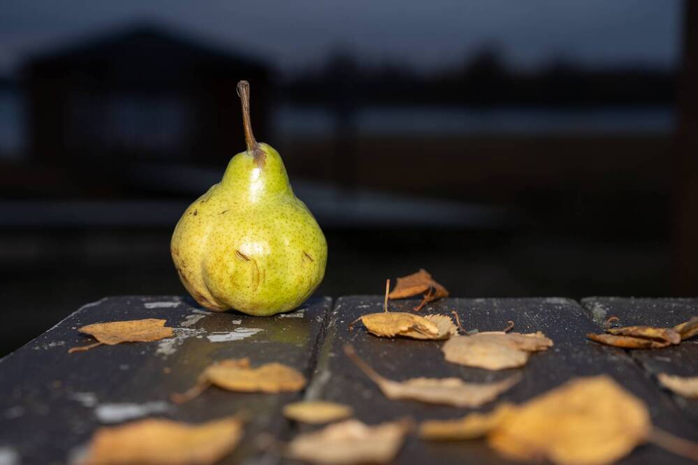 Photograph by Евгения Ковригина