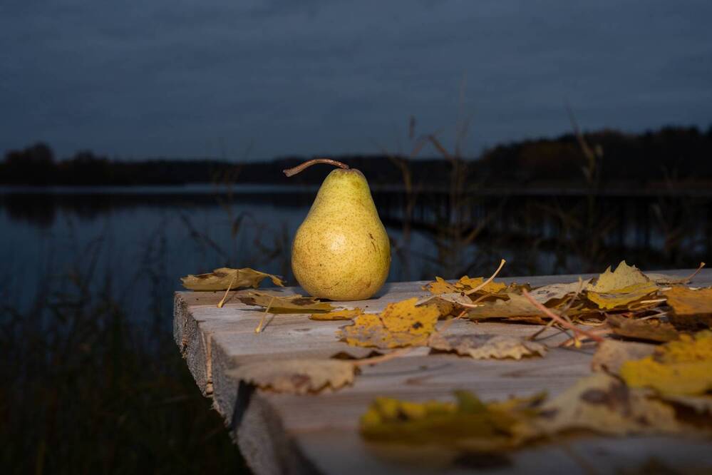 Photograph by Евгения Ковригина