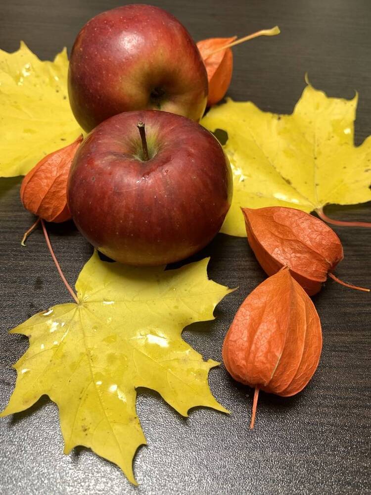 Фотография автора Ирина Шпаковская