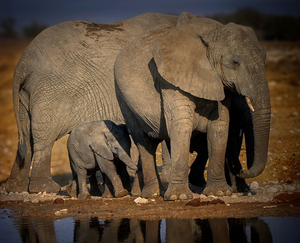 Photograph by Boris Bekelman