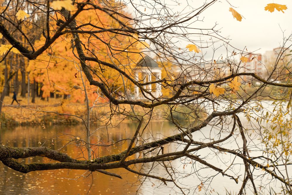 Photograph by Натали Захарова (Тай)