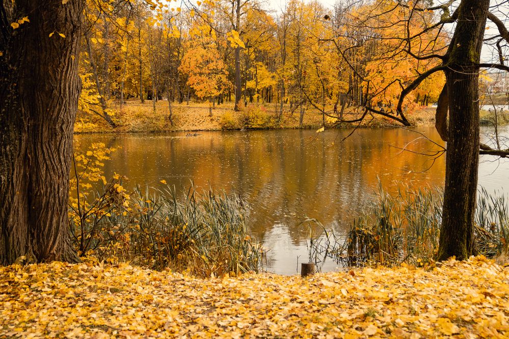 Photograph by Натали Захарова (Тай)