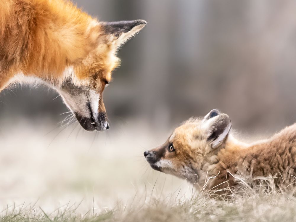 Photograph by Zhenhuan Zhou