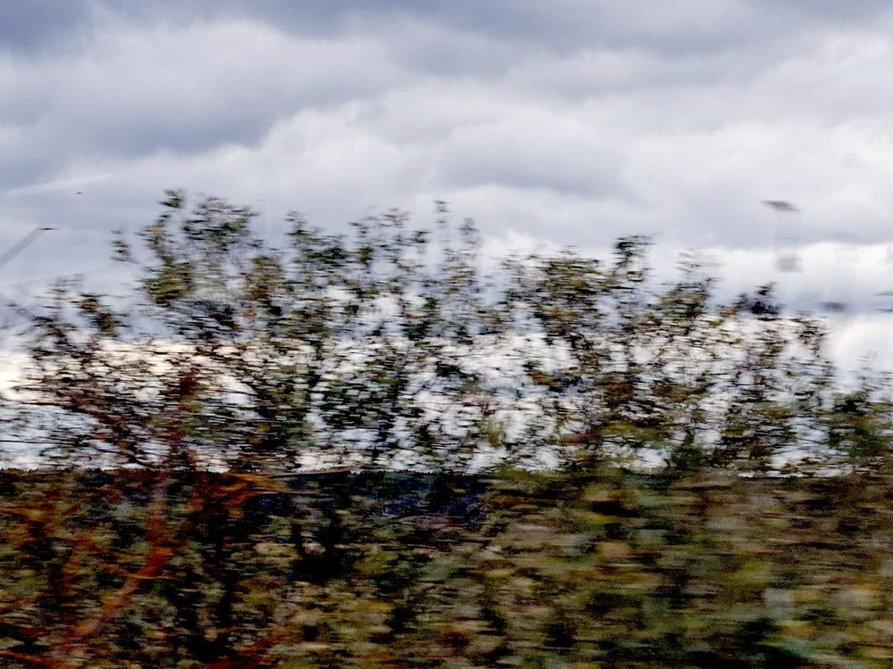 Photograph by Татьяна