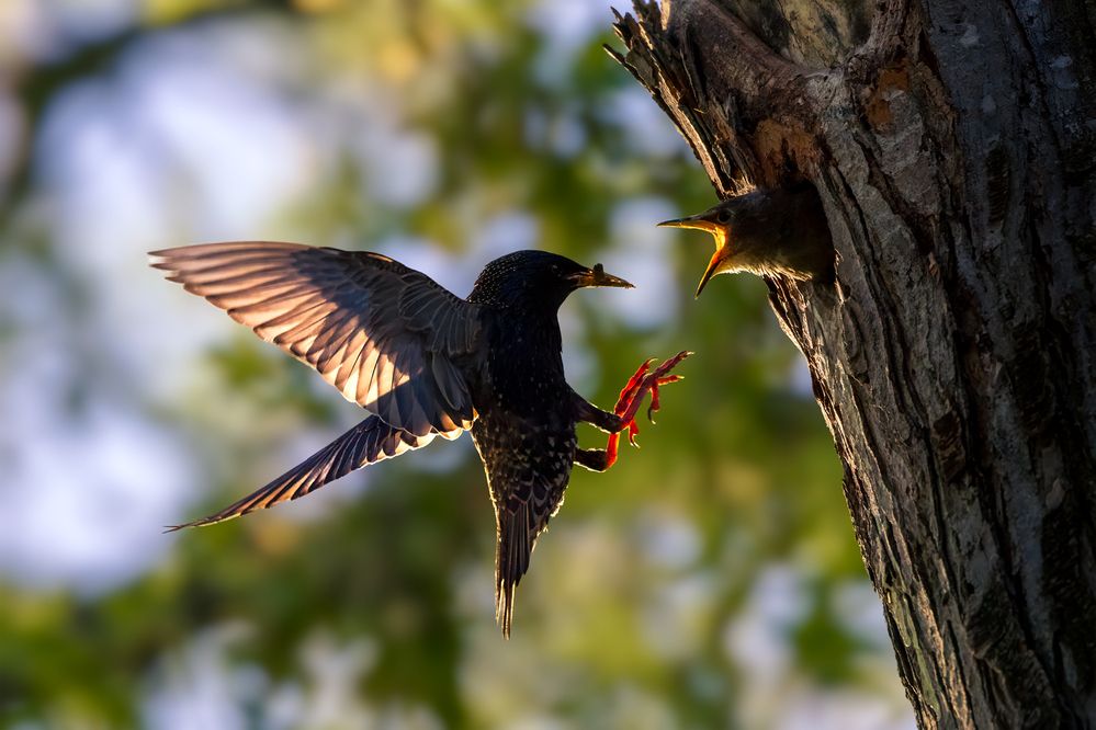 Photograph by Zhenhuan Zhou