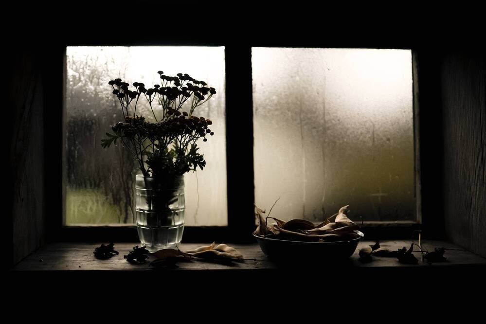 Фотография автора Ирина Романовская