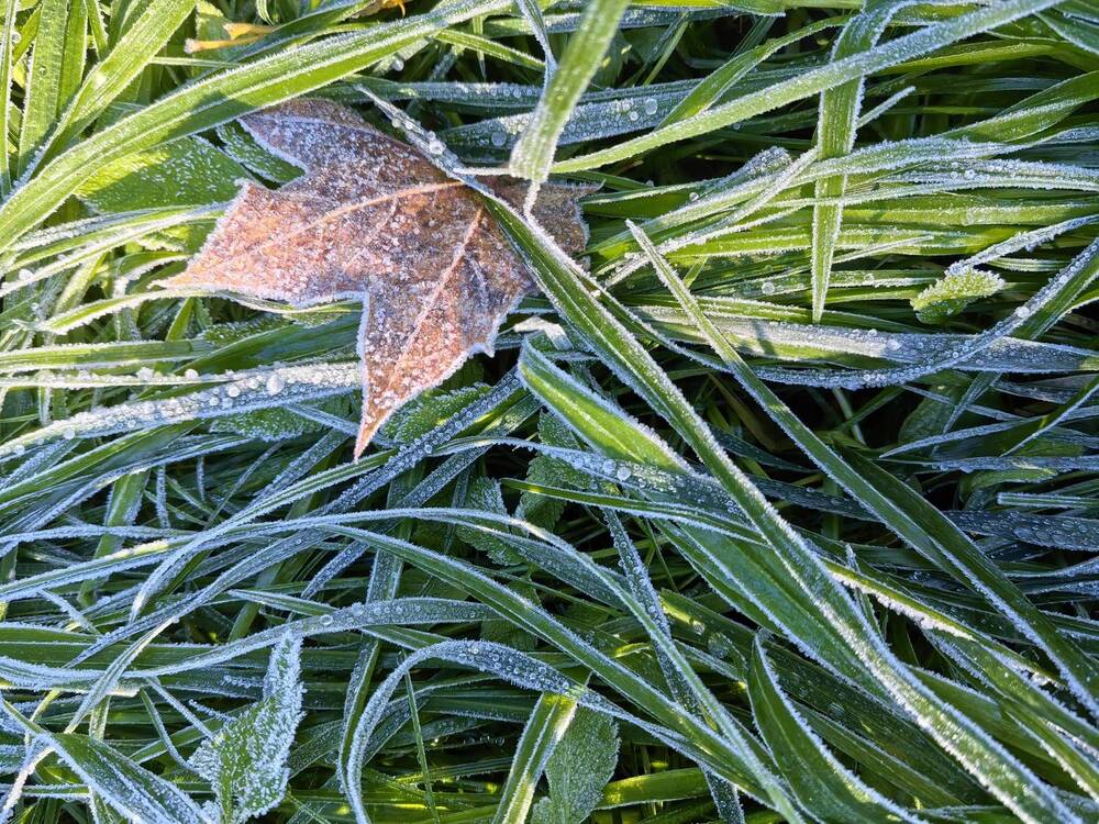 Photograph by Olga Kot