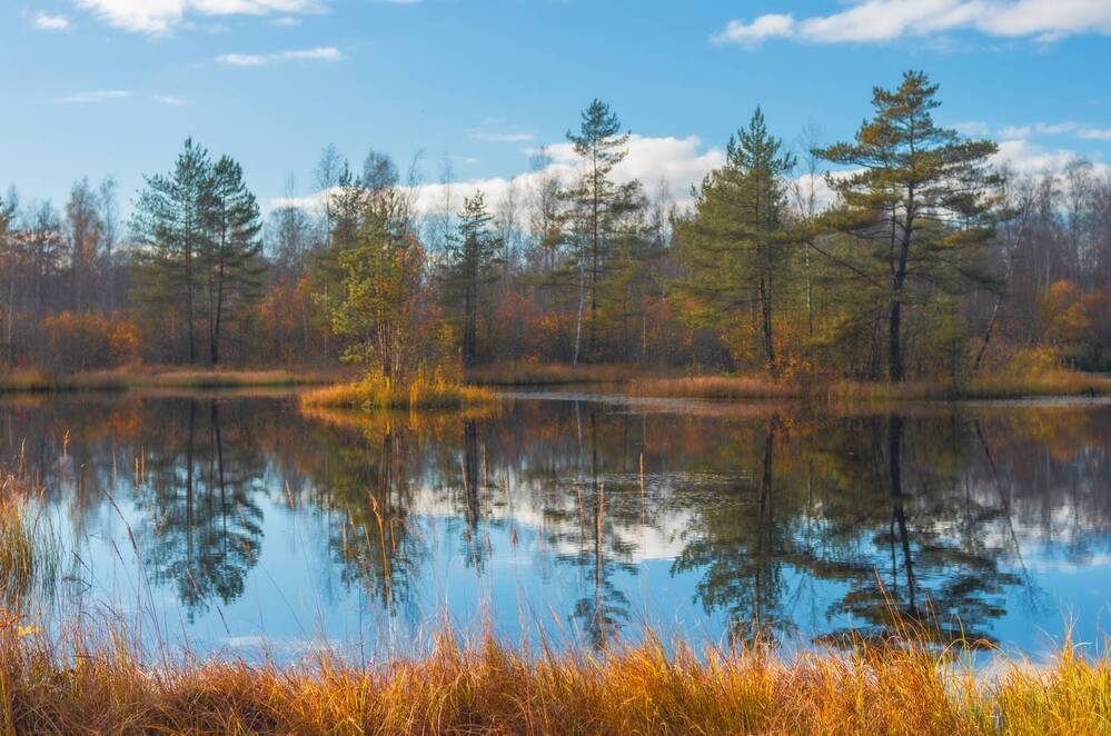 Photograph by Василий Богомолов