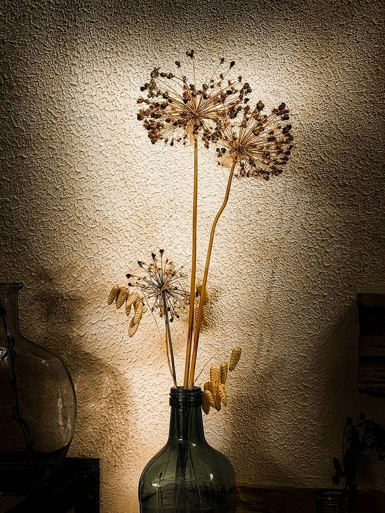 Photograph by Igor Maksimenko