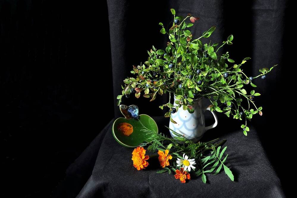 Фотография автора Ирина Кухарчук