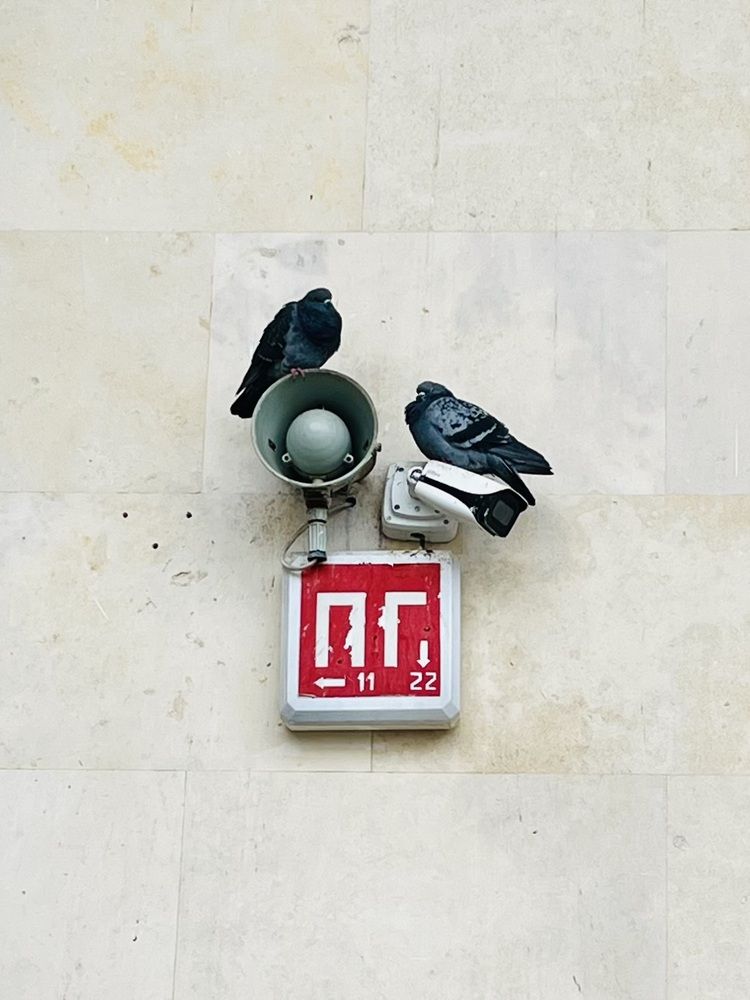 Photograph by Сюзанна